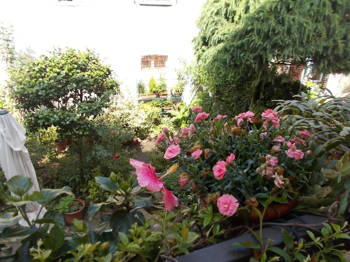 דונגו B&B Zia Lina מראה חיצוני תמונה